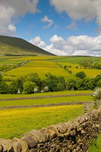 Pendle_Kat_Weatherill_72dpi_03