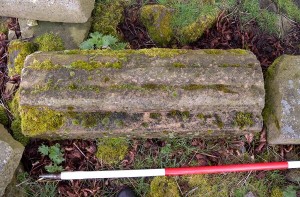 Ovolo moulded stone, probably a window jamb.