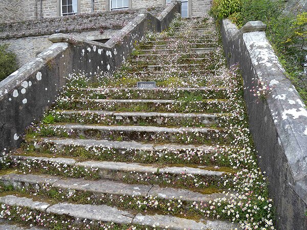 Sizergh Castle Steps