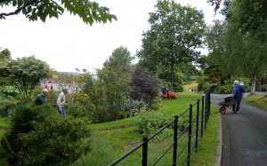 Volunteer gardeners