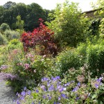 Walled Garden 1