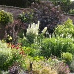 Walled Garden 4