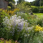 Walled Garden 6