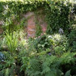 Walled Garden 7