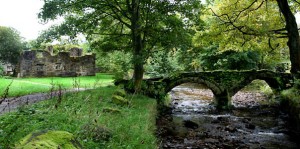 Web-Packhorse-Bridge