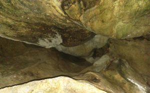 Kinsey Cave roof